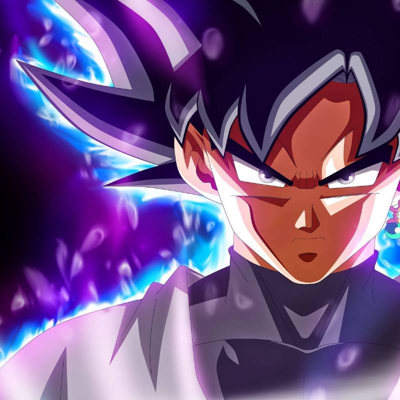 Zamasu(Goku Black)- You are a Orange Cat