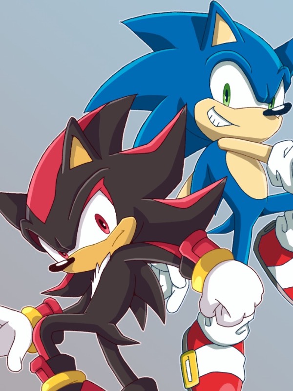 Sonic and shadow