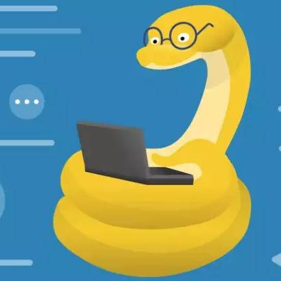 Python programmer