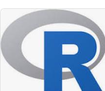 R LANGUAGE FOR DUMMIES