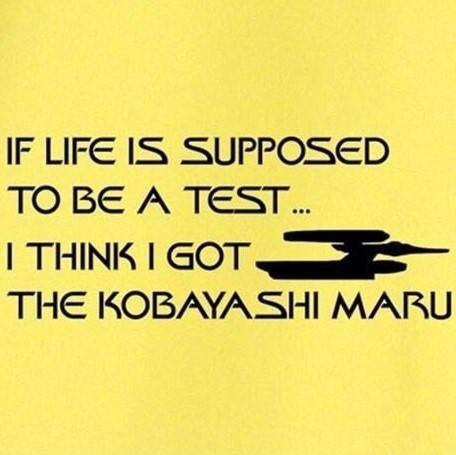 🚂 The Maru Trolley 🚂